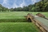 10th hole