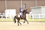 SBM_001486