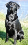 A Smart Lab 2