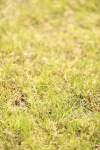 SBM_12489