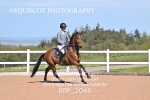 BPP_2048