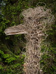 Gooney Bird Signpost
