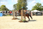 SBM_39383
