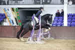 SBM_000958