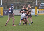 DSC01987