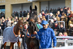 251025-Race 2-Kasino Des Mottes-7113