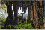Stalactite Cave, Causeway Coast (IMG0889)