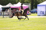 SBM_15785