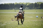 BVHT 140517  IXC -543