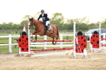 SBM_009689