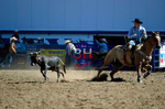 3HRodeo8-11-25_PRCASteer_00904_