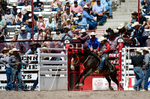 3HRodeo7-19-25_CFD_03915_
