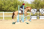 SBM_001737