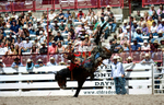 3HRodeo7-19-25_CFD_03952_