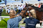 230526-Race 1-Lord Roxby-5893