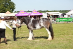 SBM_08796