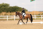 SBM_000344