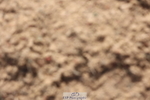 240629A-091945-02919