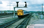 23rd May 1991