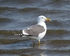 20110430-IMG_5192