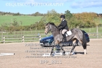 BPP_8811
