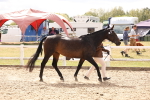 SBM_15354