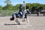 BPP_6865