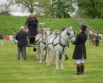 Attelage -1037