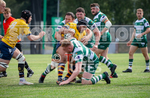 Guernsey Raiders v Old Albanian_2022-62