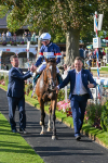 240824-Race 7-Sir Busker-2070