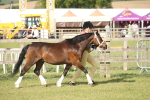 SBM_10307