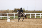 SBM_001975