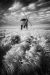 The Mill