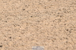 240509A-092734-00555