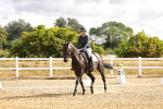 SBM_003329