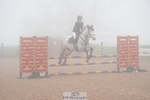 Cls 40 Academy Individual Horse 90cm portfolio