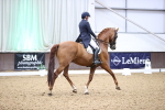 SBM_012026