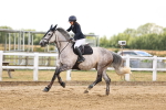 SBM_026797