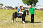 SBM_17071