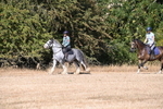 WJ6_7805