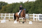 SBM_015662