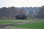 WJ7_0242