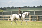 SBM_17702