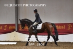 BPP_1804