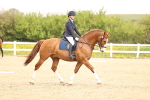 SBM_007458