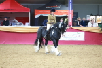 SBM_06275
