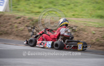Hillclimb_02-08-2014_Kart-50