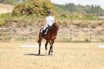 SBM_002845