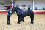 SBM_17485
