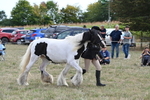 WJ6_6653